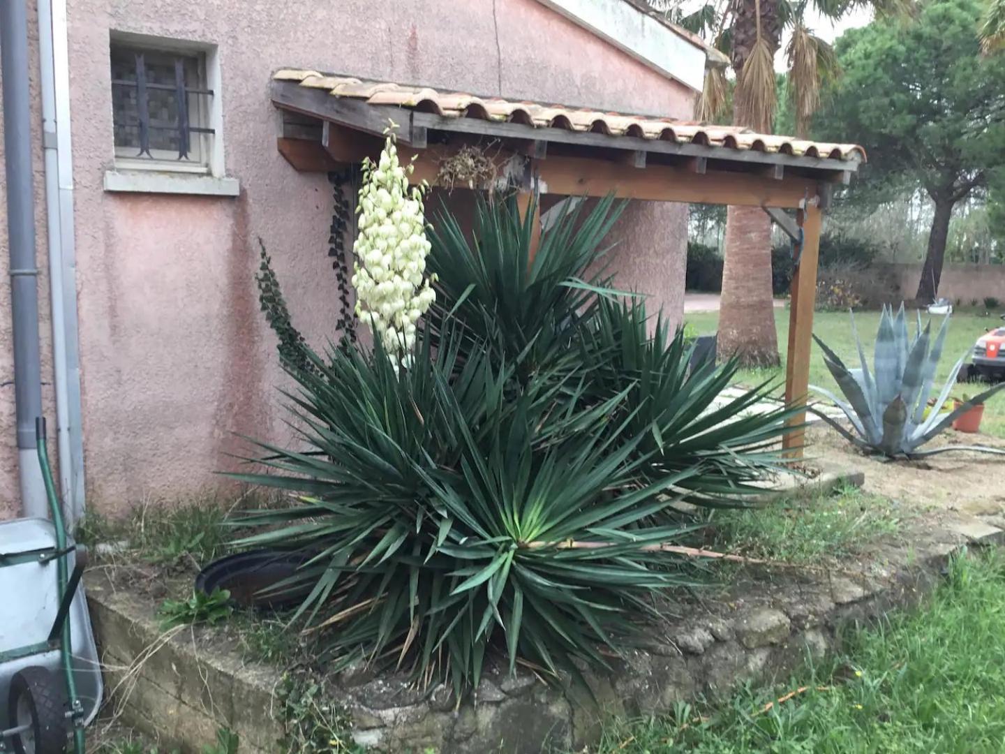 A Homestay
