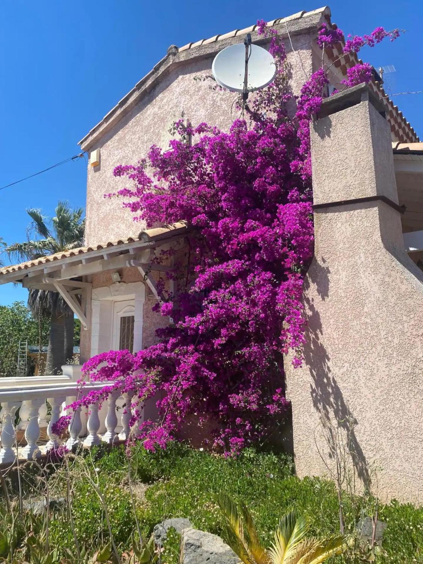 A * Marseillan (Herault)